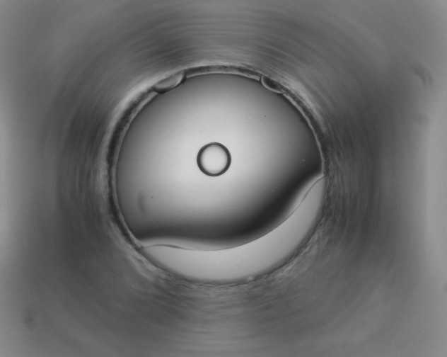 X0000113951072200910091604
