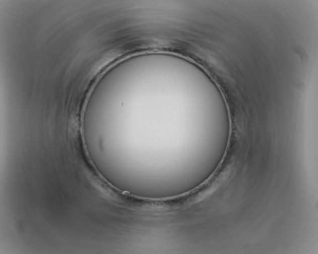 X0000113951073200910091604