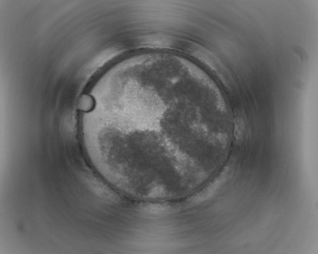 X0000113951074200910091604