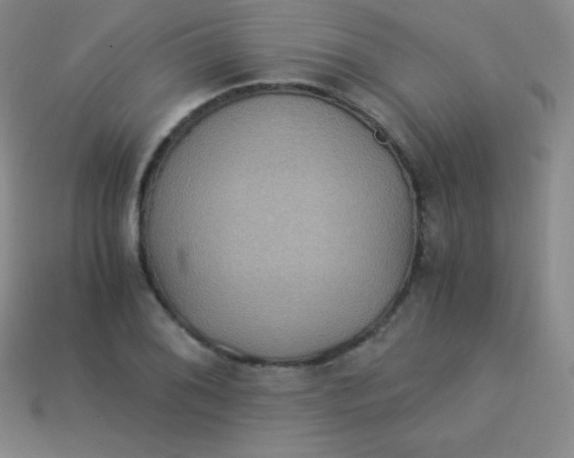 X0000113951076200910091604