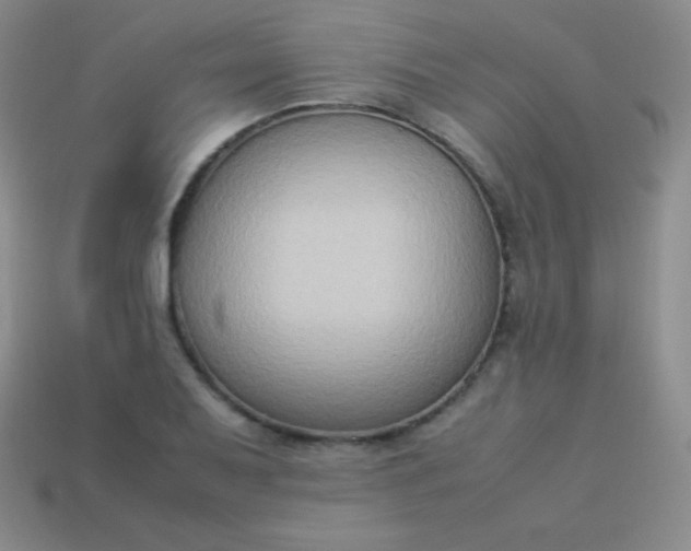 X0000113951079200910091604