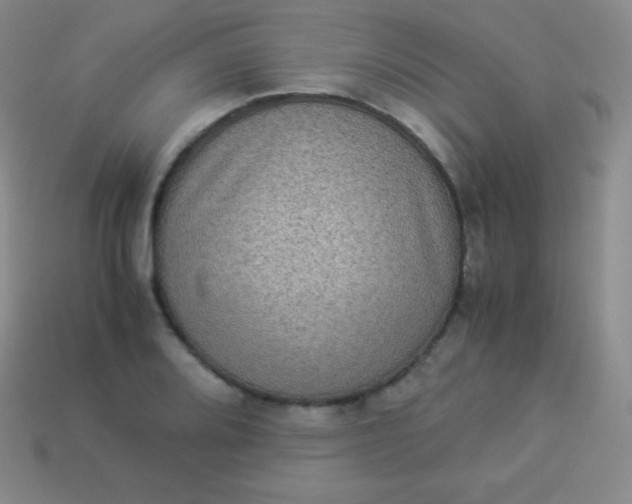 X0000113951080200910091604