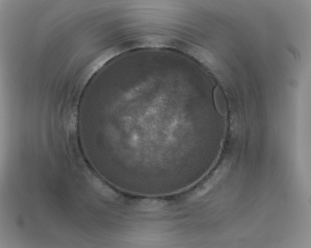 X0000113951081200910091604
