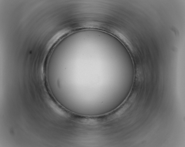 X0000113951082200910091604
