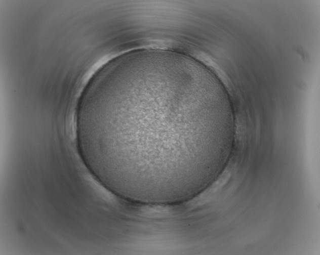 X0000113951083200910091604