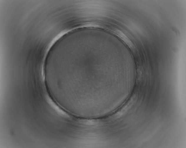 X0000113951084200910091603
