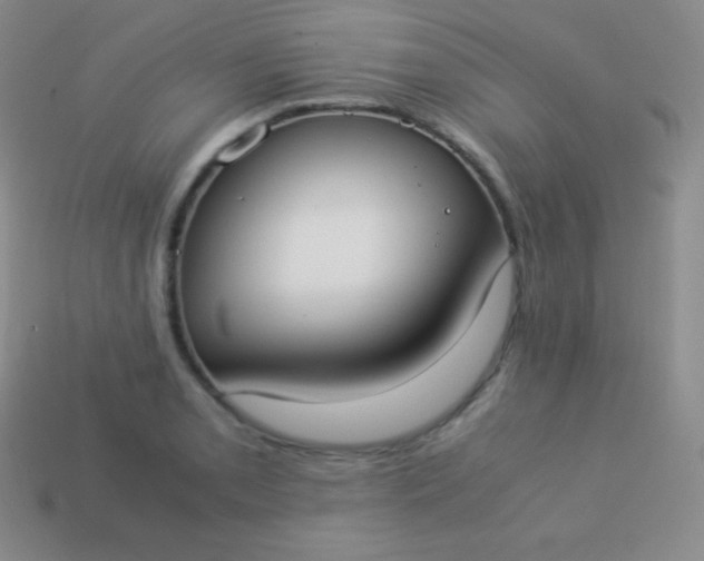X0000113951085200910091603