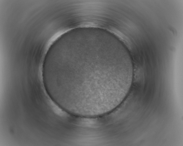 X0000113951086200910091603