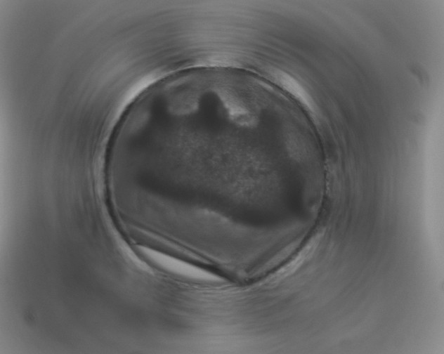 X0000113951087200910091603