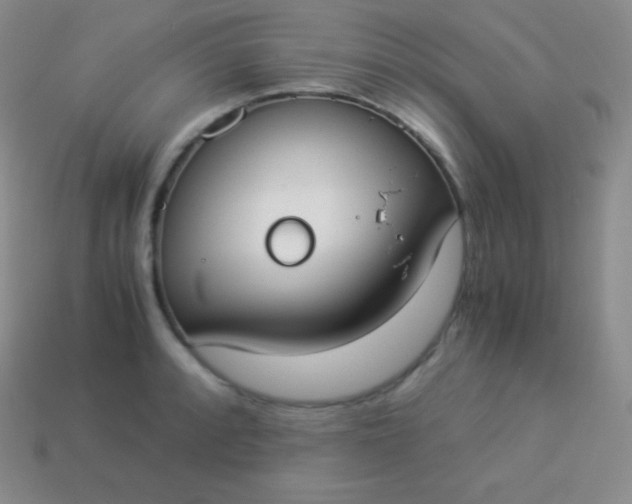 X0000113951088200910091603