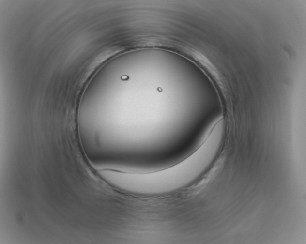 X0000113951089200910091603