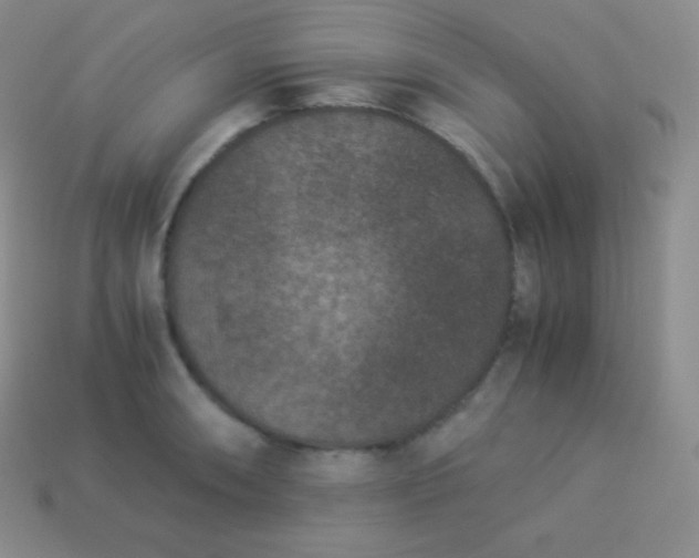 X0000113951090200910091603
