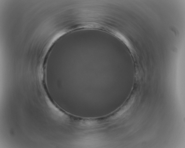 X0000113951095200910091603