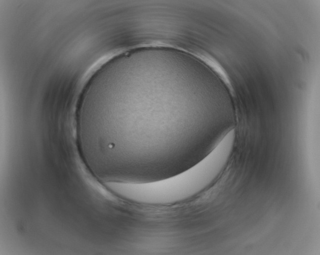 X0000113951096200910091603