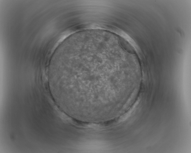 X0000113951097200910091603