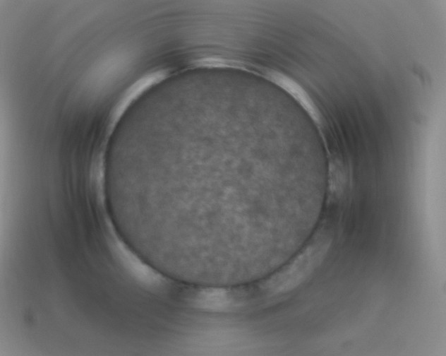 X0000113951098200910091603