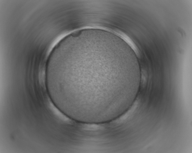 X0000113951100200910091603