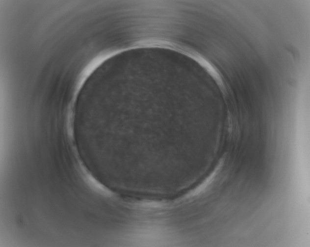 X0000113951102200910091603