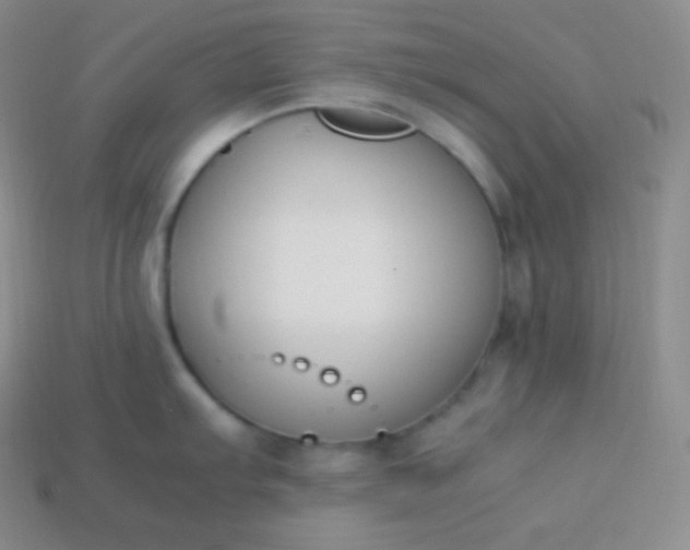 X0000113951103200910091603