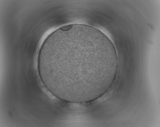 X0000113951104200910091603