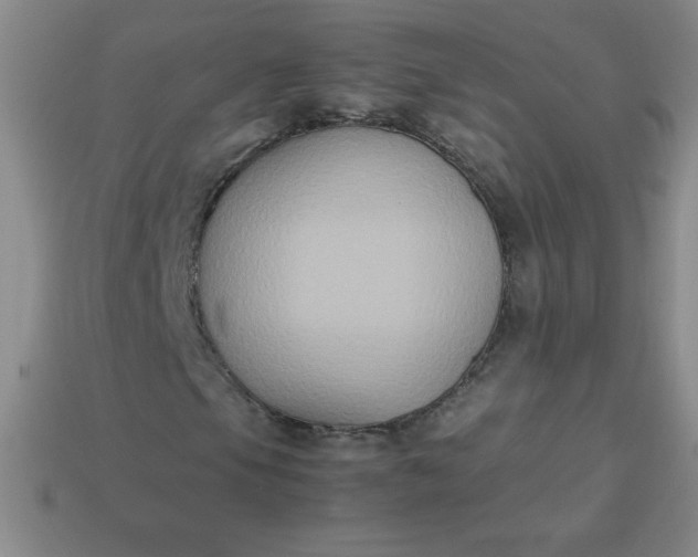X0000113951105200910091602