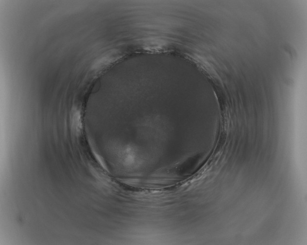 X0000113951106200910091603