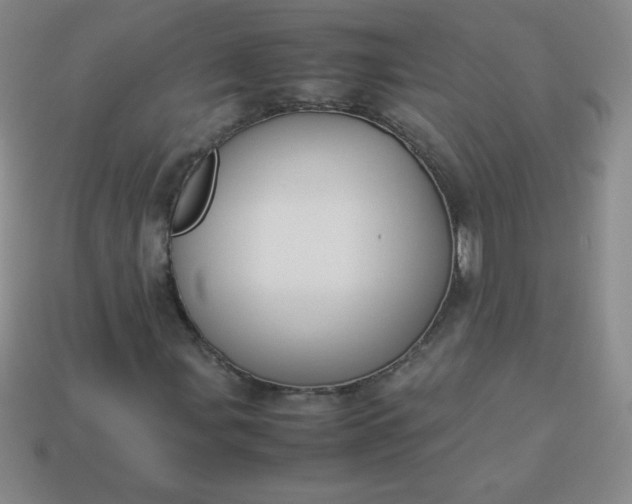 X0000113951107200910091603