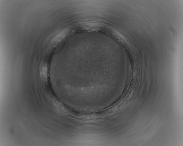 X0000113951108200910091603