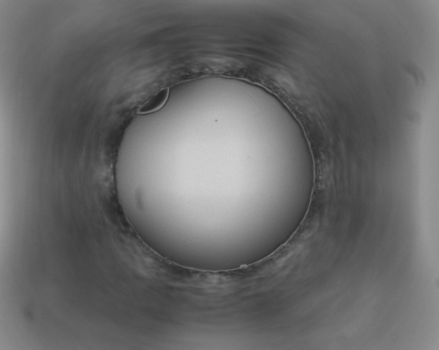 X0000113951109200910091603