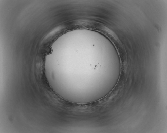 X0000113951111200910091603