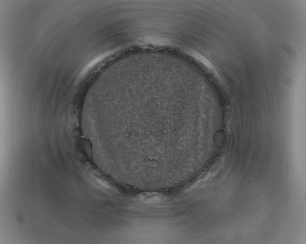 X0000113951112200910091603