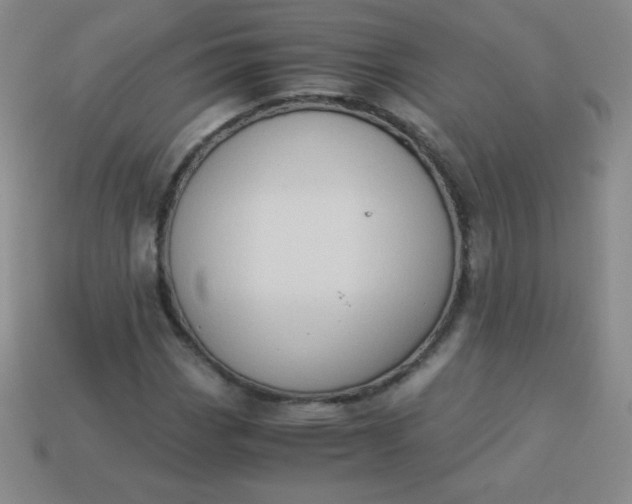 X0000113951113200910091603