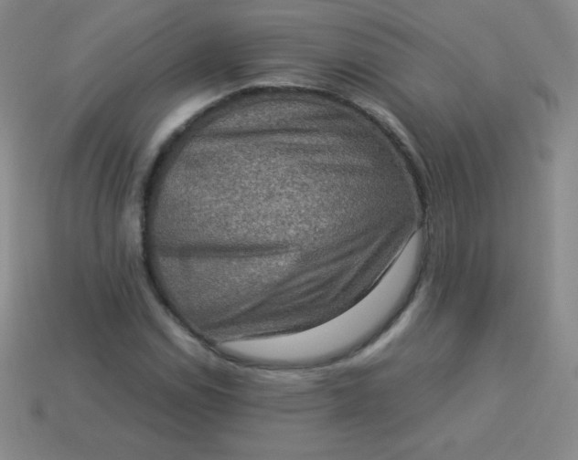 X0000113951114200910091603