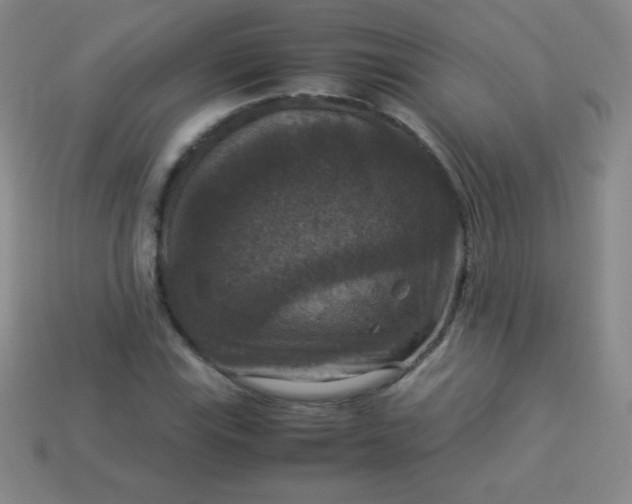 X0000113951115200910091603