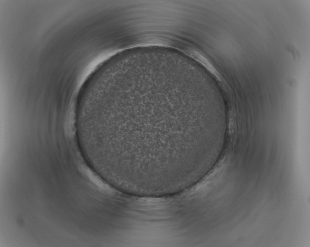X0000113951116200910091603
