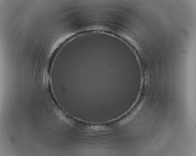X0000113951117200910091603