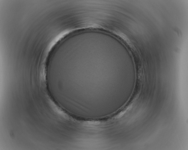 X0000113951118200910091603