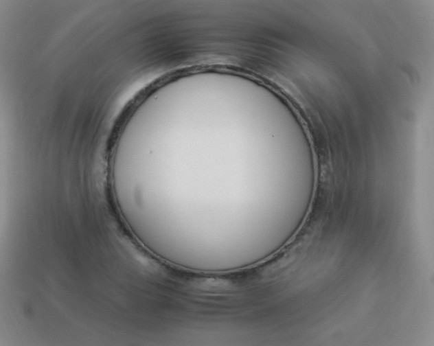 X0000113951119200910091603