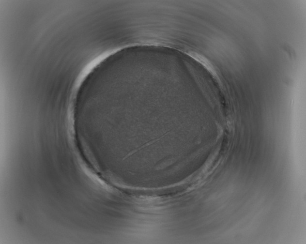 X0000113951120200910091603