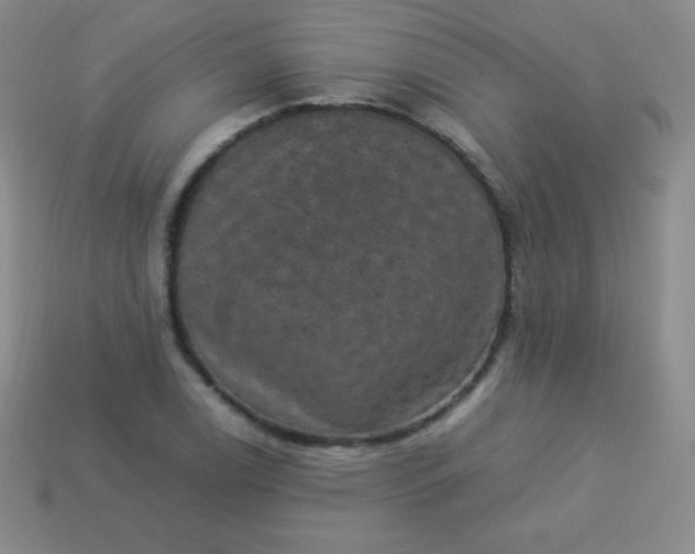 X0000113951122200910091603