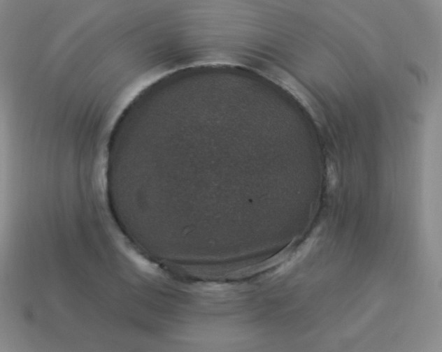 X0000113951124200910091603