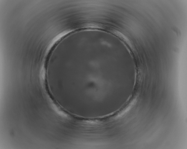 X0000113951125200910091603