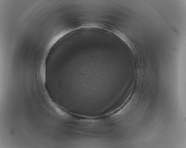 X0000113951127200910091603