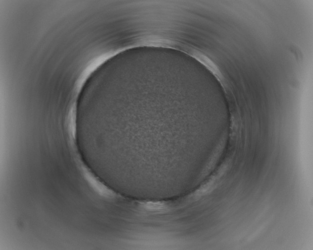 X0000113951128200910091603