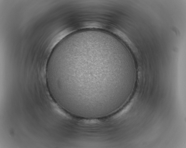 X0000113951129200910091603