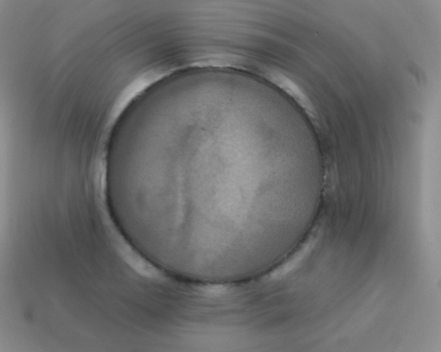 X0000113951130200910091603