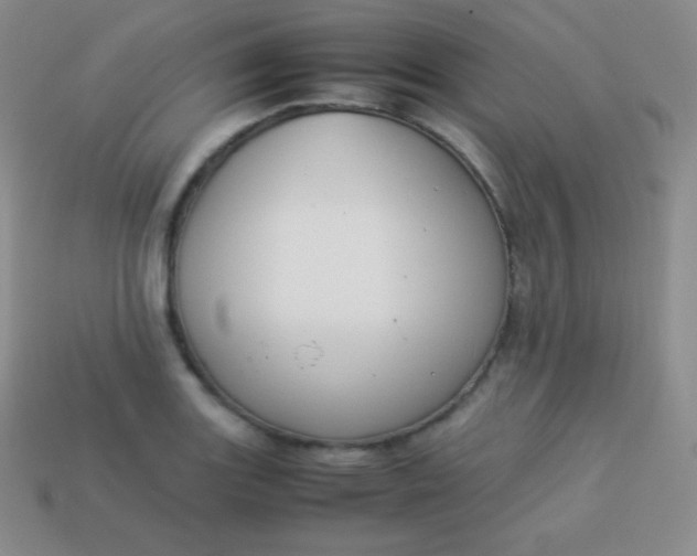 X0000113951131200910091603