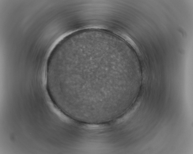 X0000113951132200910091603