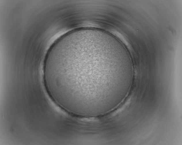 X0000113951133200910091603