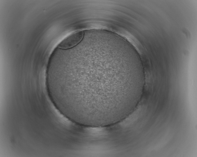 X0000113951134200910091603